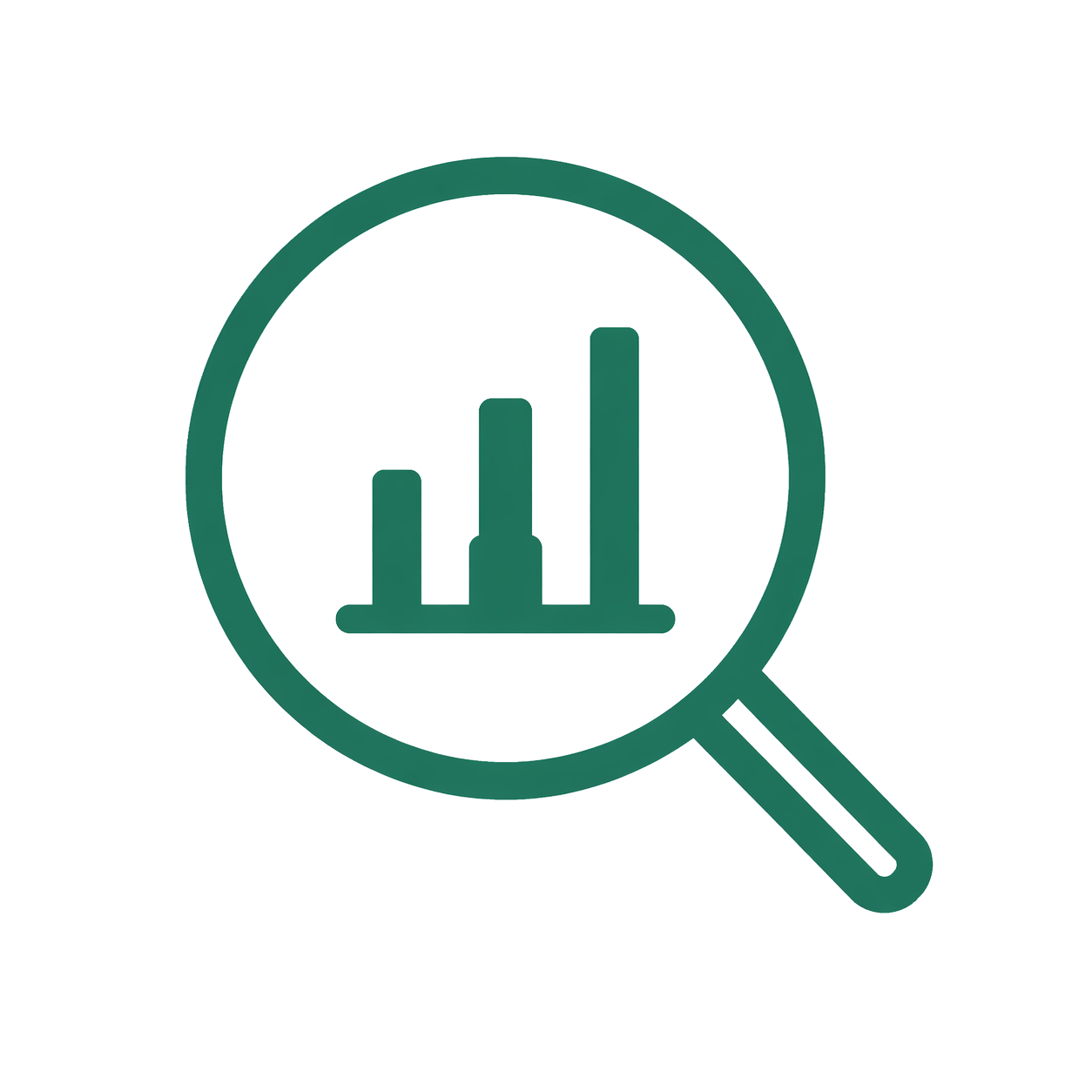 Inspection icon
